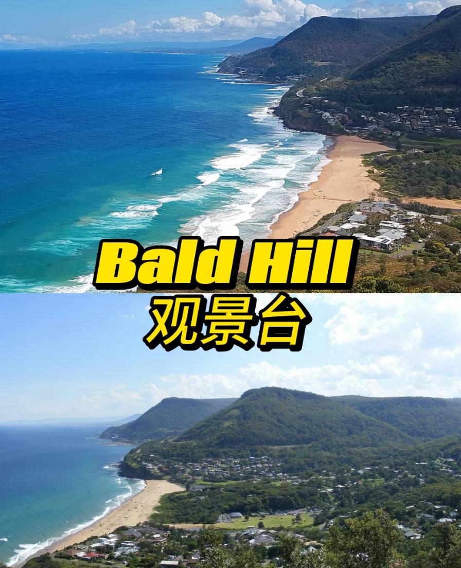 Bald Hill Lookout 参考图 1