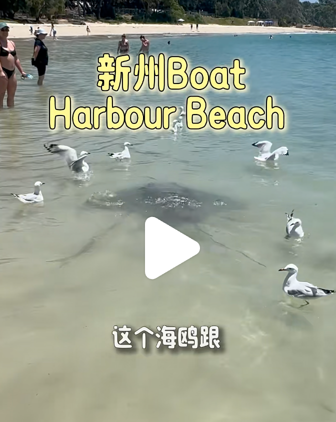 Boat Harbour Rock Pool / Reserve 参考图 1