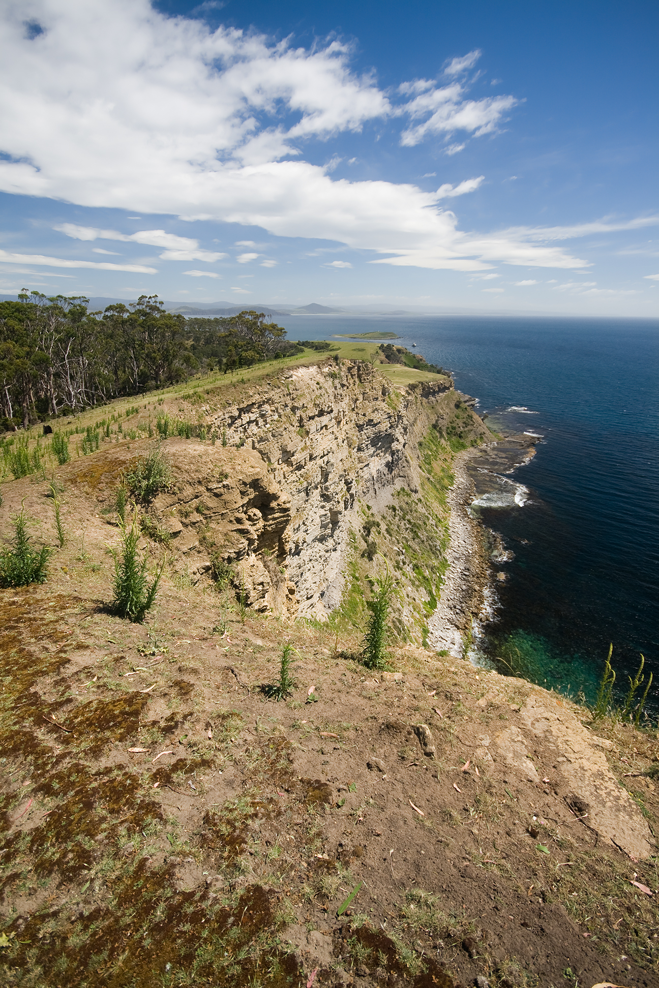 Fossil Cliffs 参考图 1