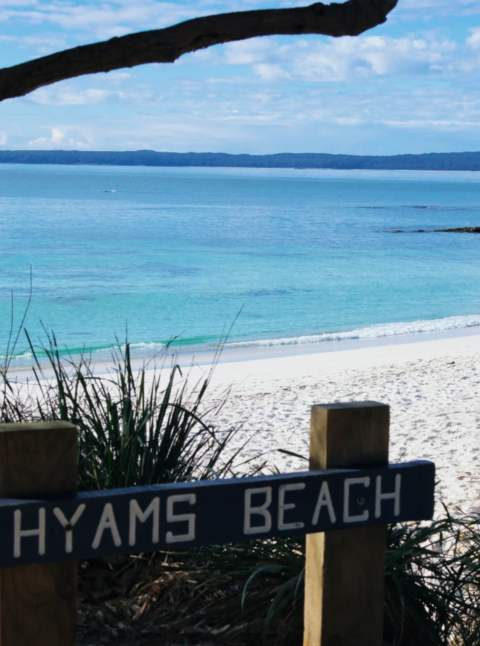 Hyams Beach 参考图 1
