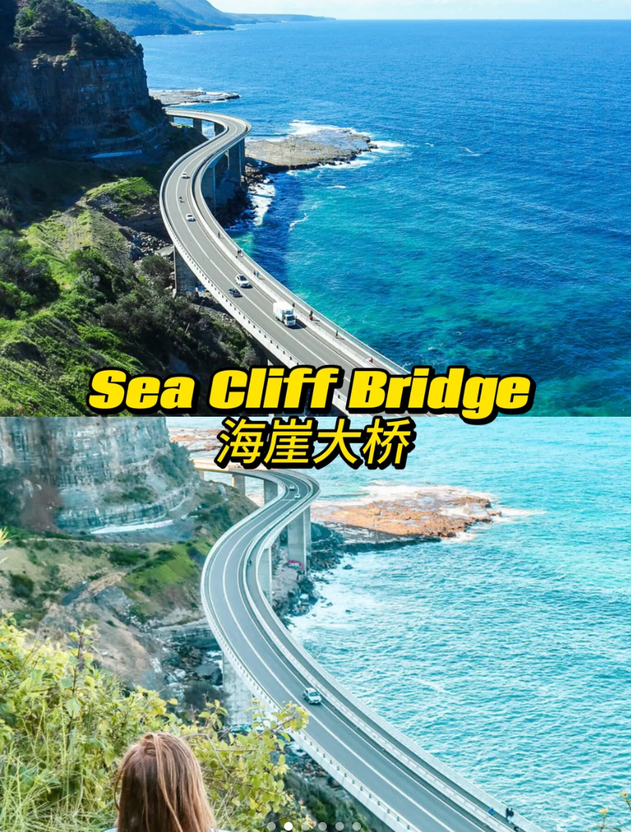 Sea Cliff Bridge 参考图 1